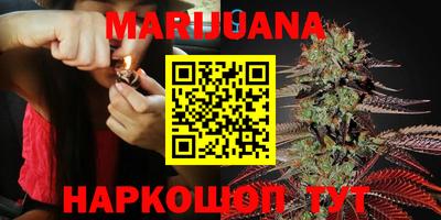 индика Канаш