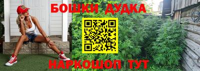 индика Канаш