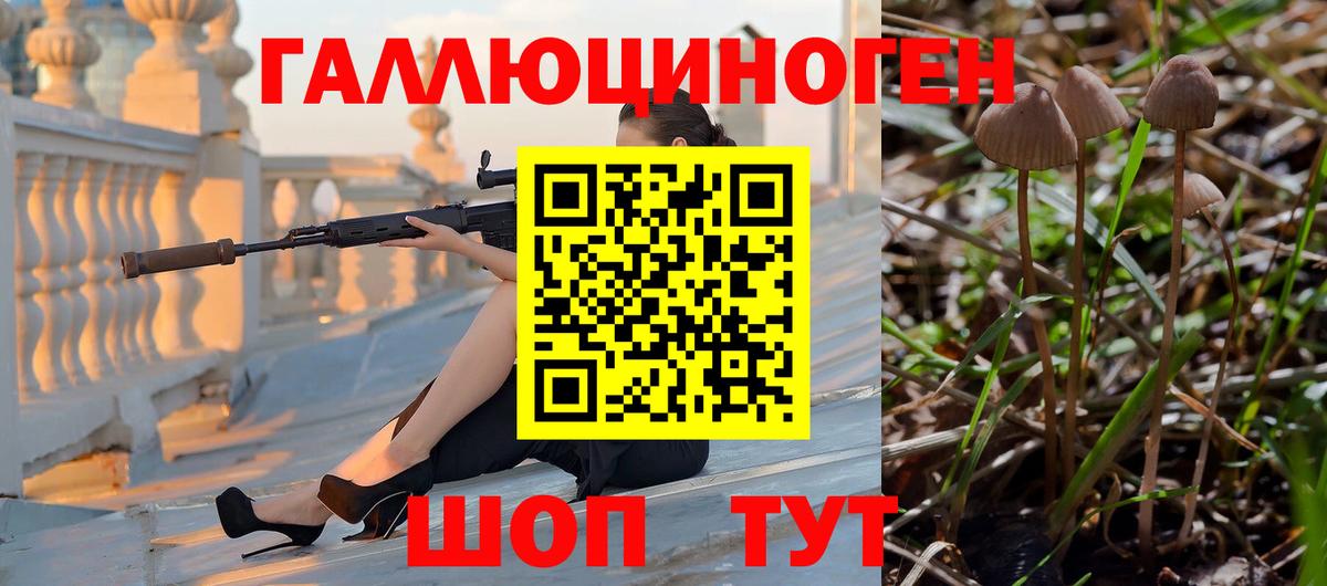 Видное  Псилоцибиновые грибы прущие грибы  наркота  Вход с VPN 