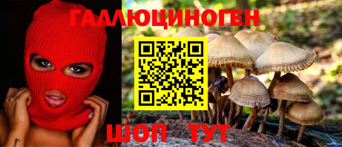 Псилоцибиновые грибы MAGIC MUSHROOMS Видное